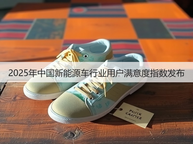 2025年中国新能源车行业用户满意度指数