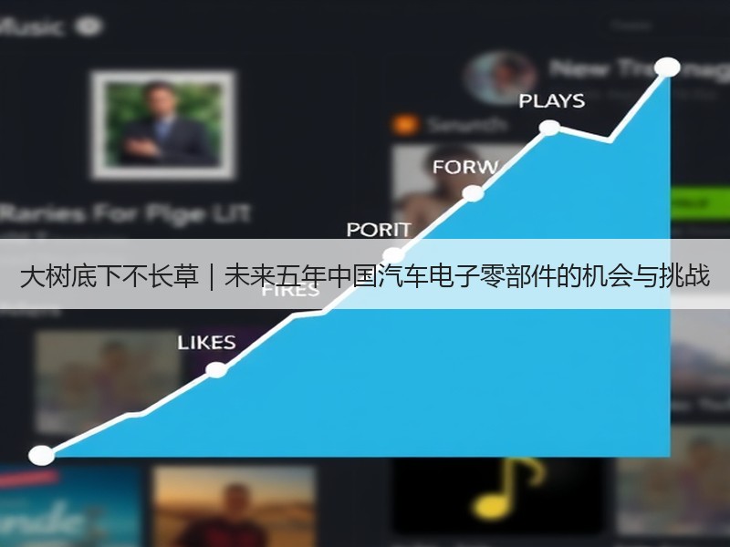 大树底下不长草｜未来五年中国汽车电子零部