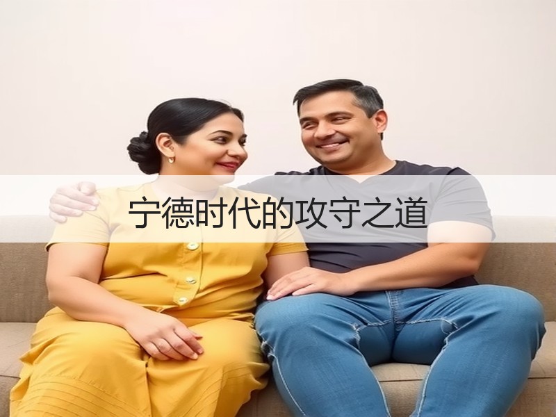 宁德时代的攻守之道