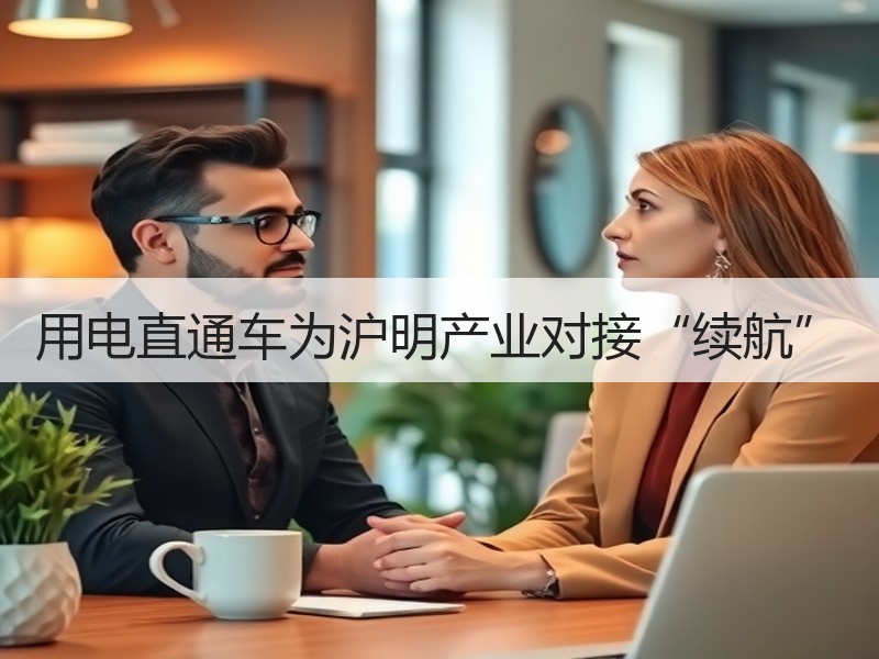 用电直通车为沪明产业对接“续航”