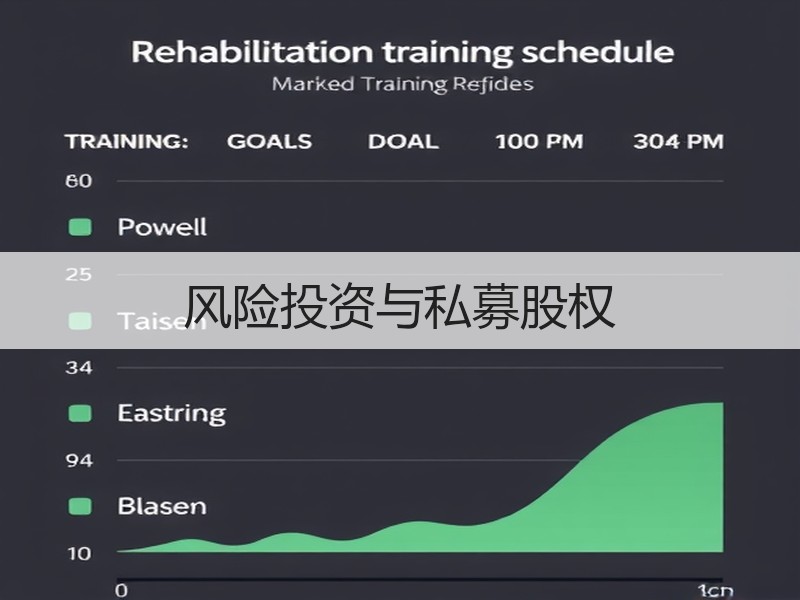 风险投资与私募股权