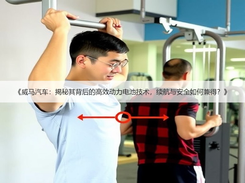 《威马汽车：揭秘其背后的高效动力电池技术