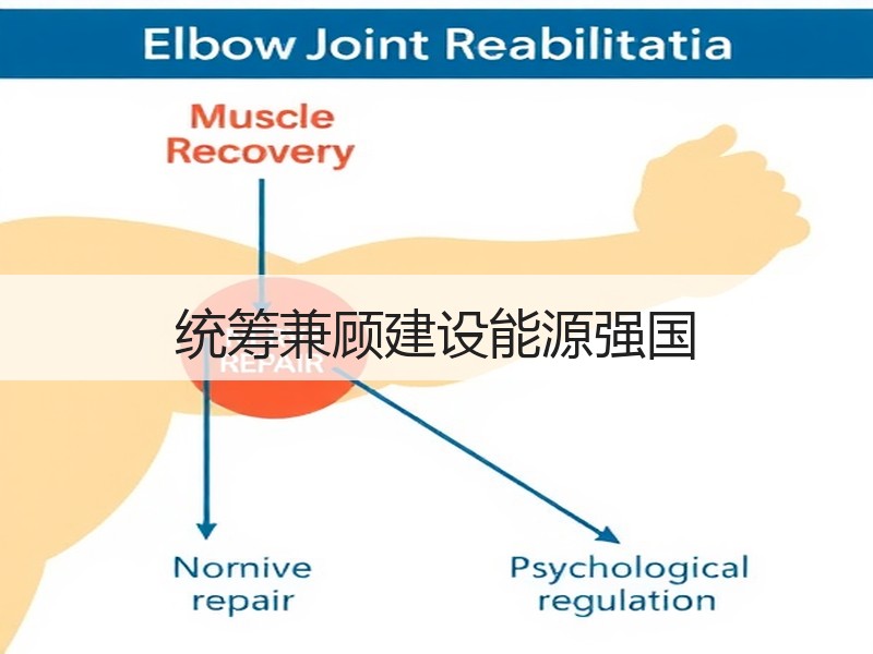 统筹兼顾建设能源强国