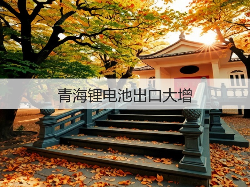 青海锂电池出口大增