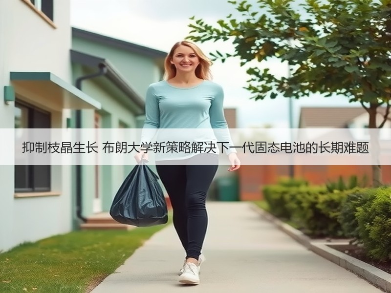 抑制枝晶生长 布朗大学新策略解决下一代固