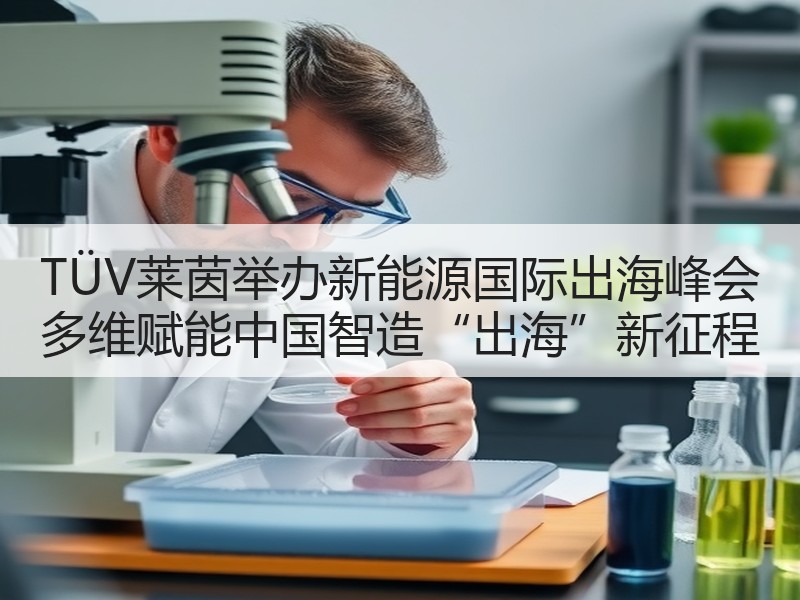 TÜV莱茵举办新能源国际出海峰会 多维赋