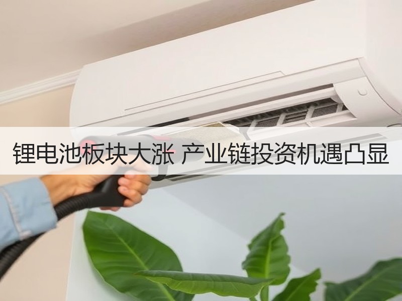 锂电池板块大涨 产业链投资机遇凸显