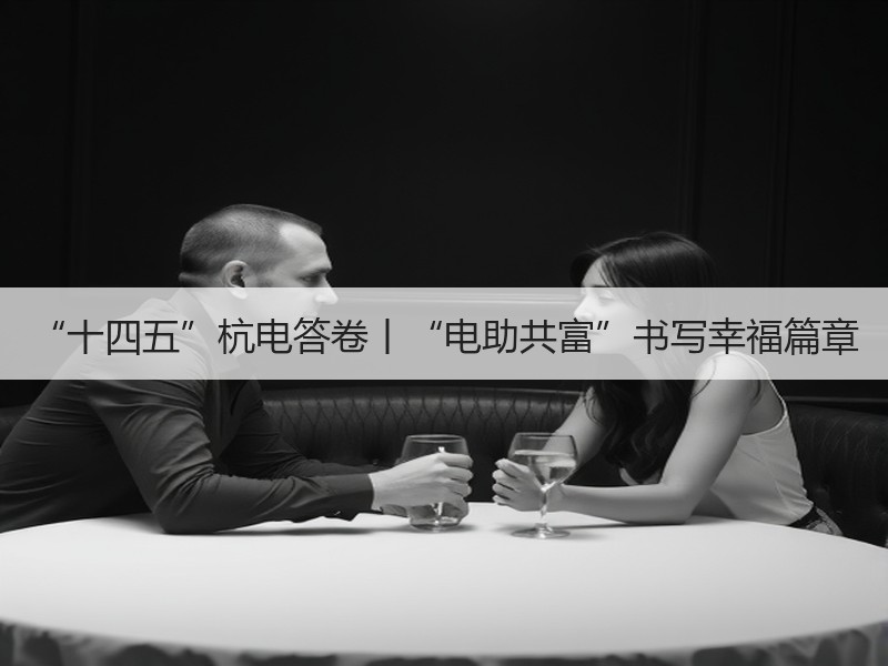 “十四五”杭电答卷丨“电助共富”书写幸福