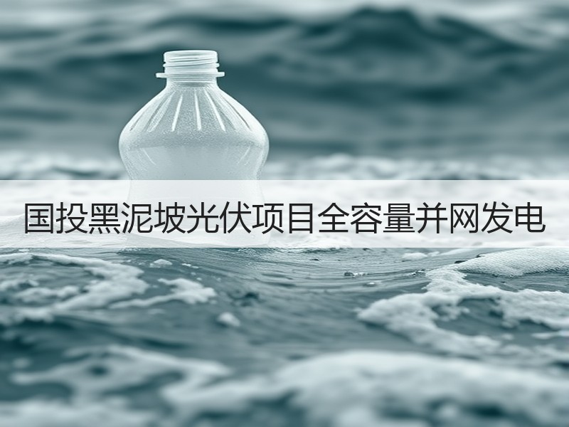 国投黑泥坡光伏项目全容量并网发电