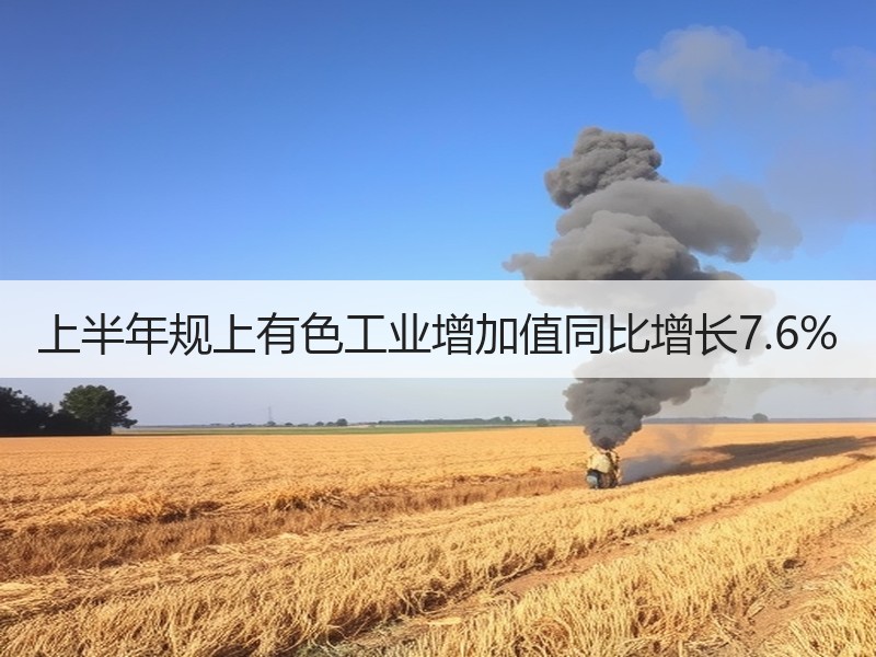 上半年规上有色工业增加值同比增长7.6%