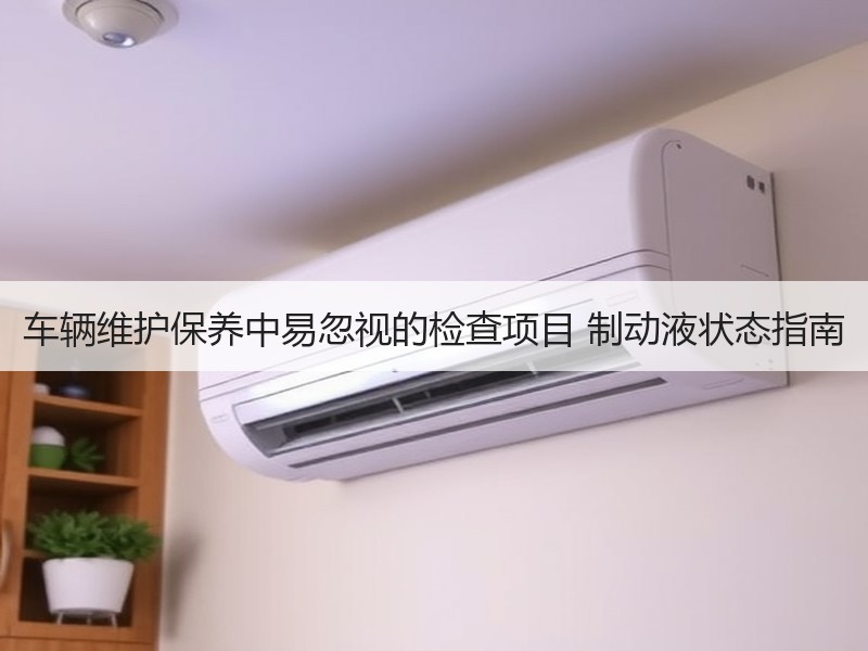 车辆维护保养中易忽视的检查项目 制动液状