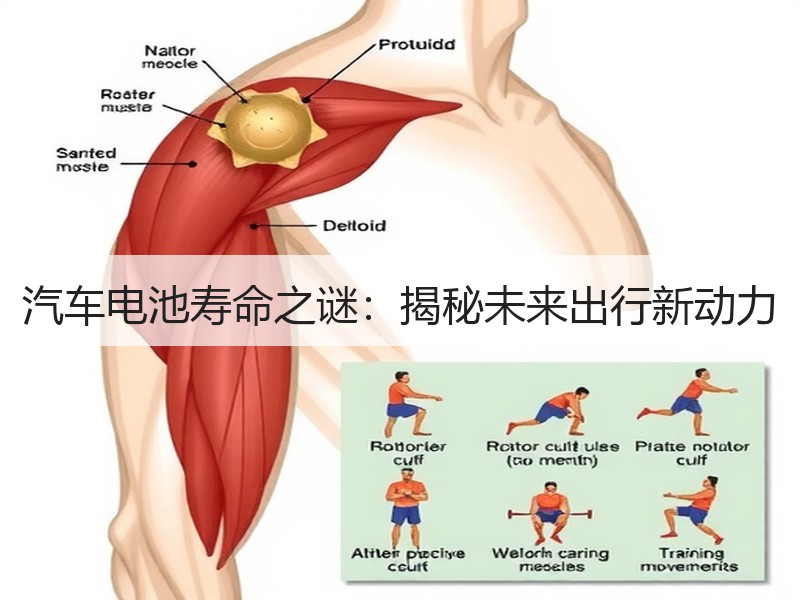 汽车电池寿命之谜：揭秘未来出行新动力