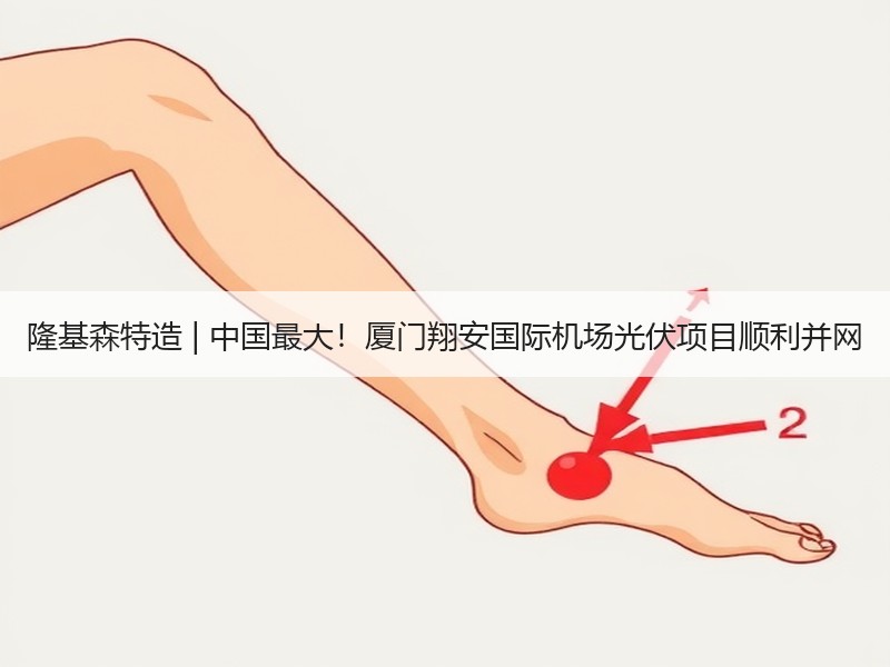 隆基森特造 | 中国最大！厦门翔安国际机