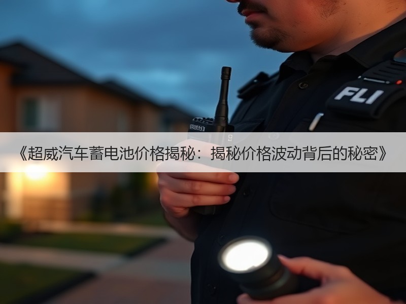 《超威汽车蓄电池价格揭秘：揭秘价格波动背