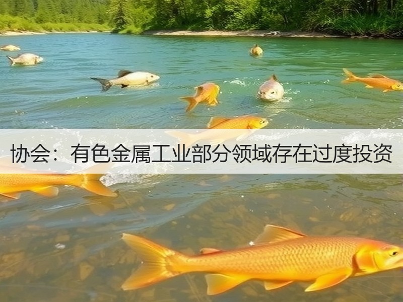 协会：有色金属工业部分领域存在过度投资
