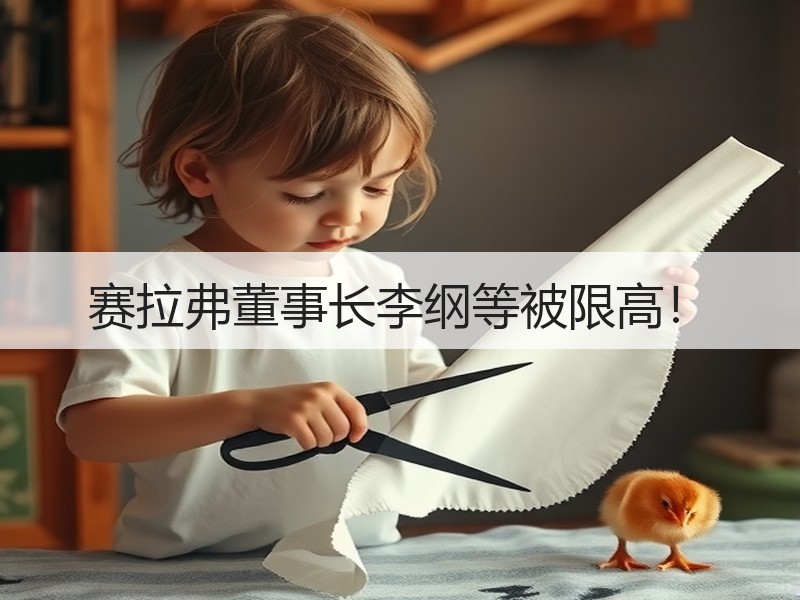 赛拉弗董事长李纲等被限高！