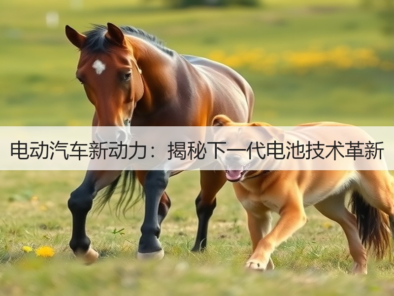 电动汽车新动力：揭秘下一代电池技术革新