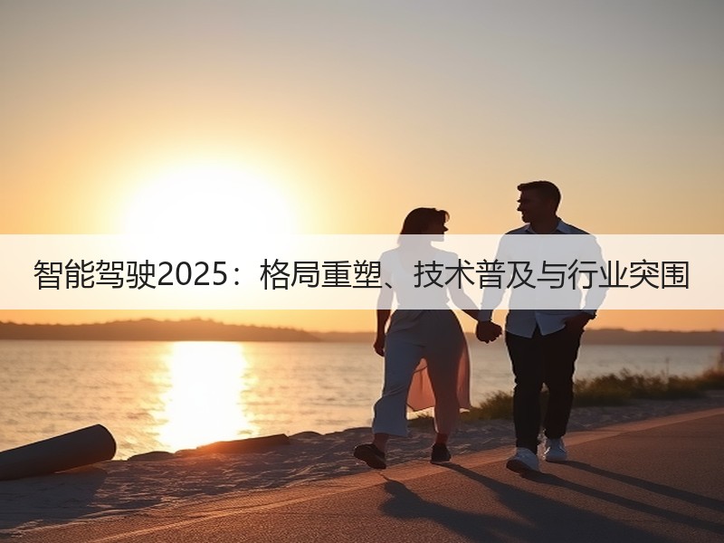 智能驾驶2025：格局重塑、技术普及与行