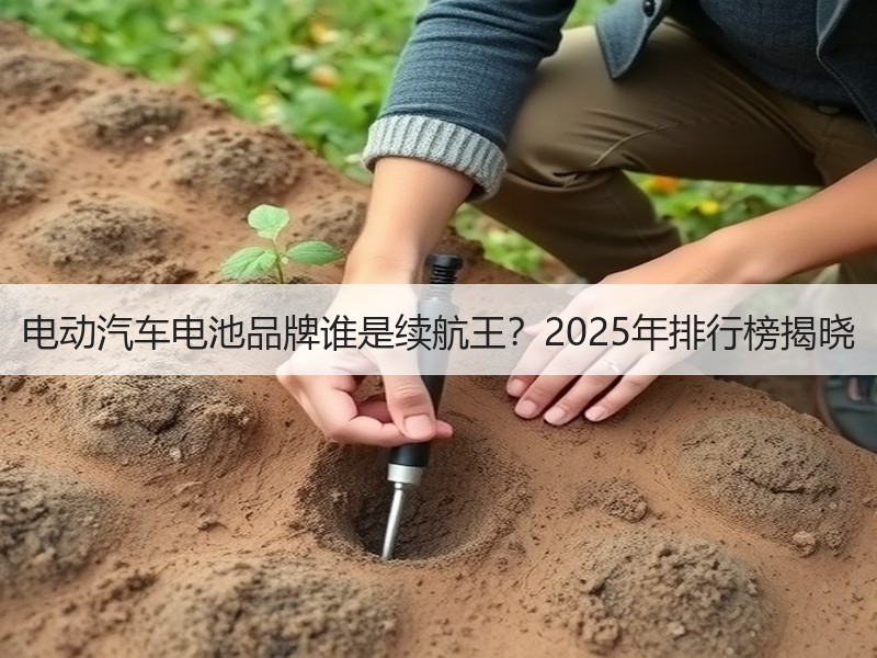 电动汽车电池品牌谁是续航王？2025年排