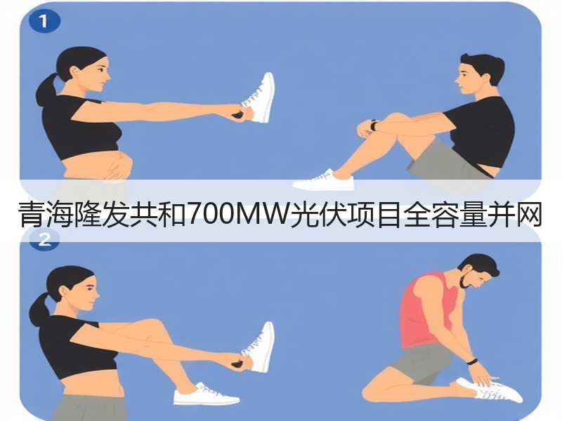青海隆发共和700MW光伏项目全容量并网