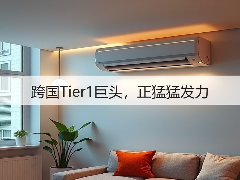 跨国Tier1巨头，正猛猛发力