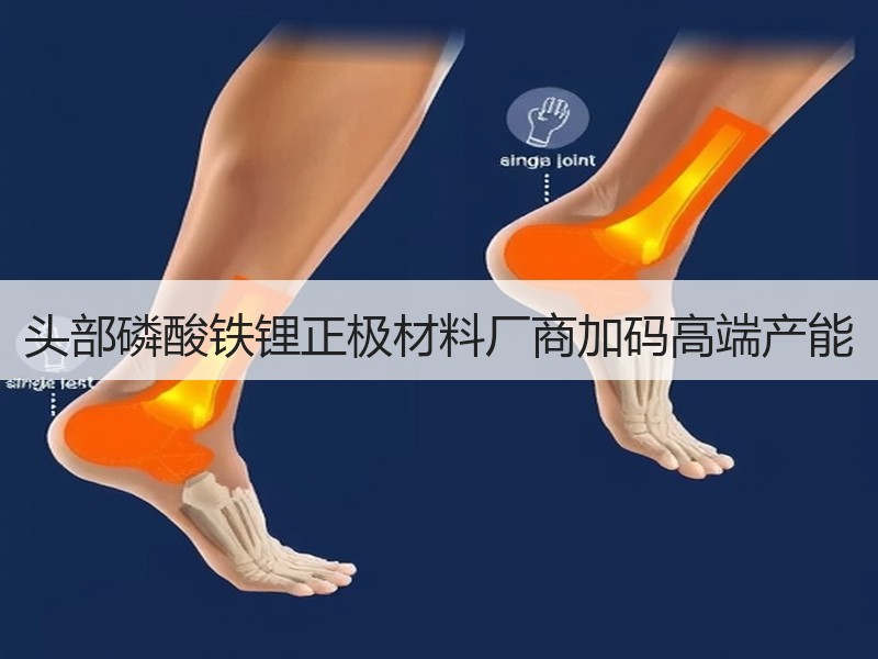 头部磷酸铁锂正极材料厂商加码高端产能