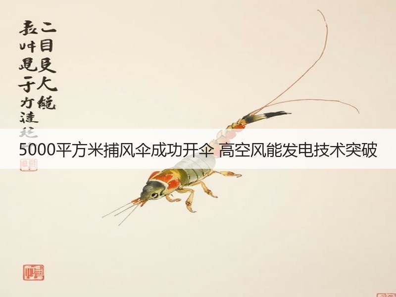 5000平方米捕风伞成功开伞 高空风能发