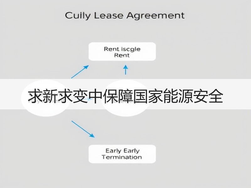 求新求变中保障国家能源安全