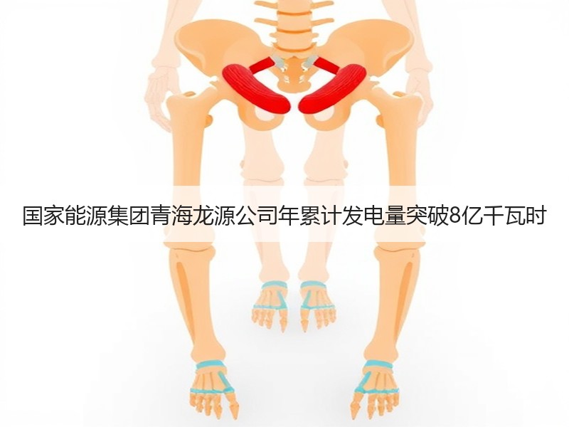 国家能源集团青海龙源公司年累计发电量突破