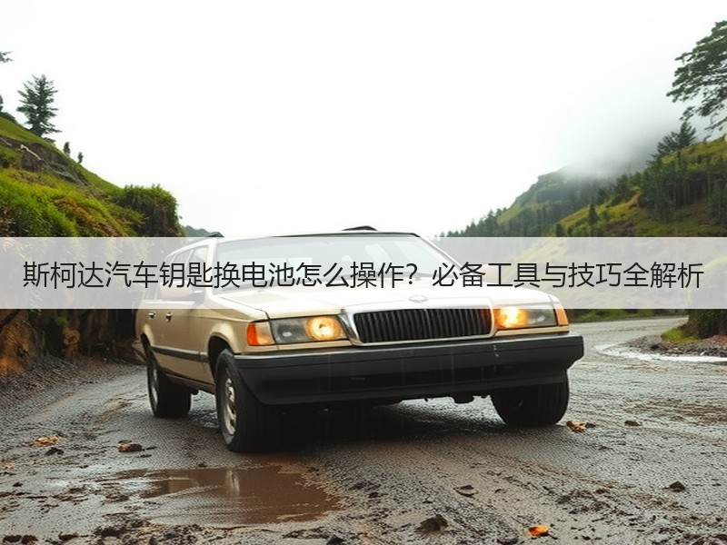 斯柯达汽车钥匙换电池怎么操作？必备工具与