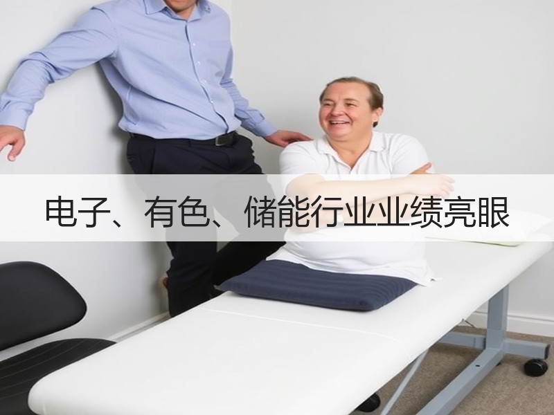 电子、有色、储能行业业绩亮眼