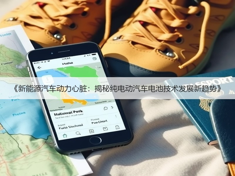 《新能源汽车动力心脏：揭秘纯电动汽车电池