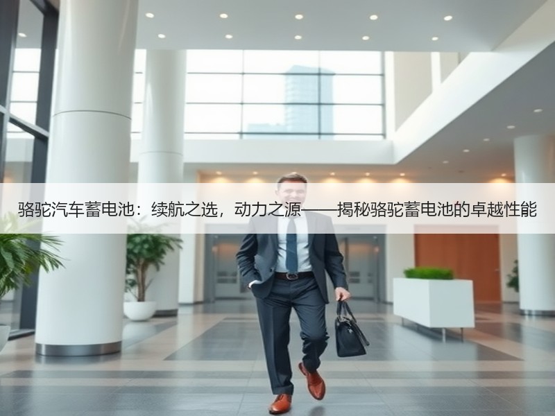 骆驼汽车蓄电池：续航之选，动力之源——揭