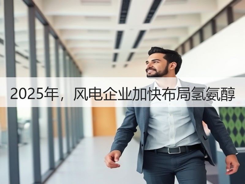 2025年，风电企业加快布局氢氨醇