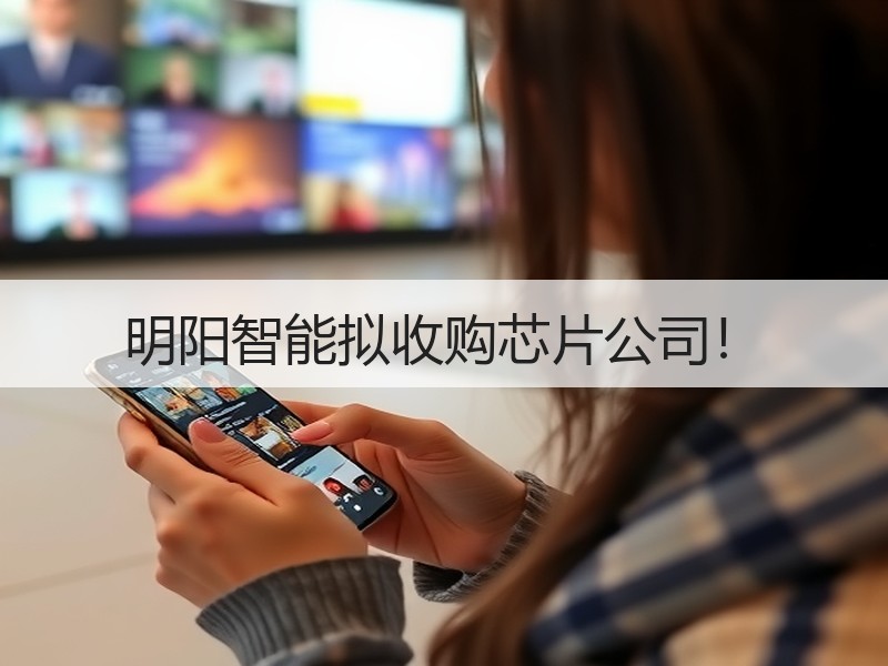 明阳智能拟收购芯片公司！