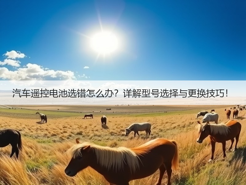 汽车遥控电池选错怎么办？详解型号选择与更