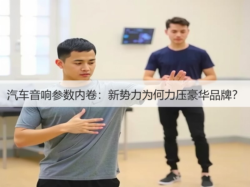 汽车音响参数内卷：新势力为何力压豪华品牌