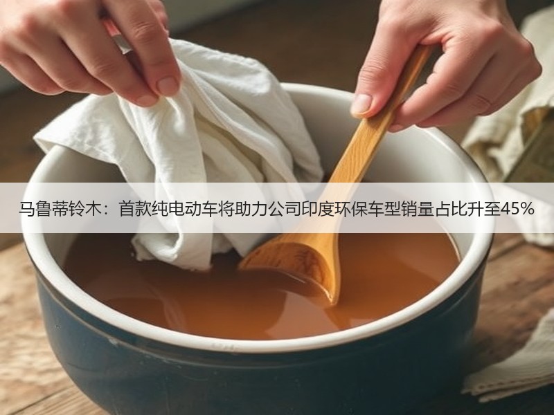 马鲁蒂铃木：首款纯电动车将助力公司印度环