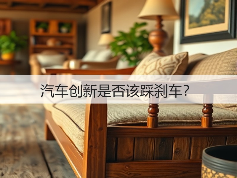 汽车创新是否该踩刹车？