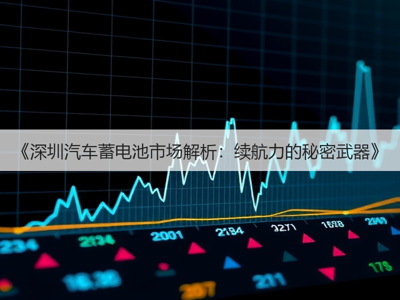 《深圳汽车蓄电池市场解析：续航力的秘密武