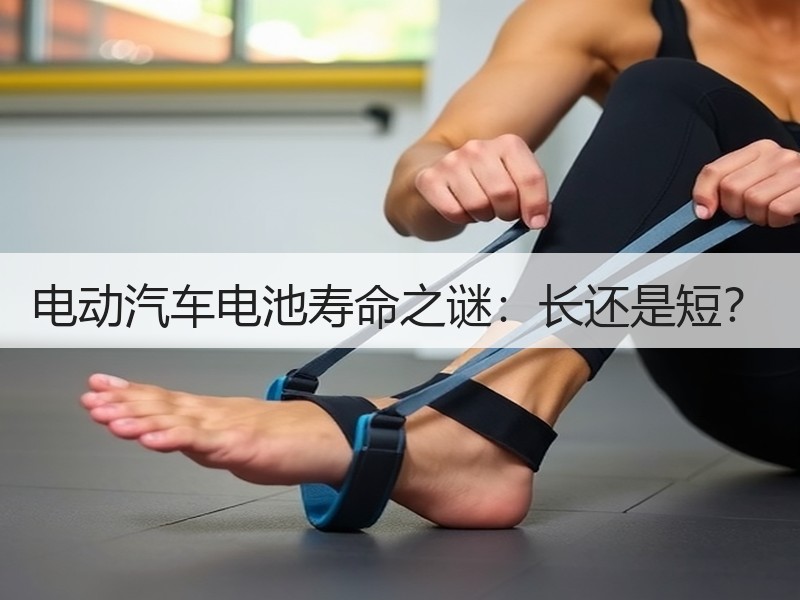 电动汽车电池寿命之谜：长还是短？