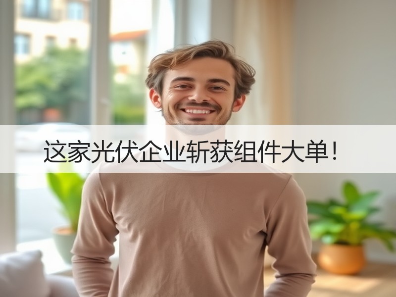 这家光伏企业斩获组件大单！