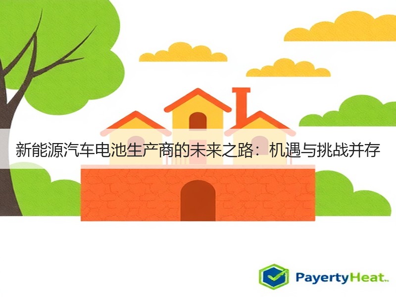 新能源汽车电池生产商的未来之路：机遇与挑