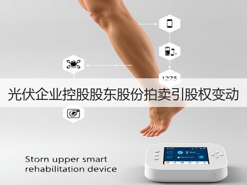 光伏企业控股股东股份拍卖引股权变动