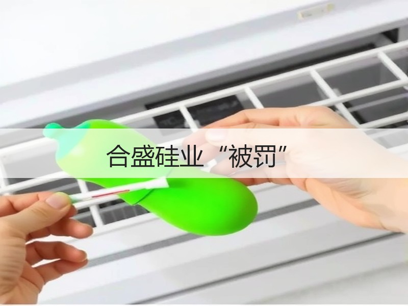 合盛硅业“被罚”