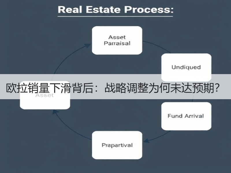 欧拉销量下滑背后：战略调整为何未达预期？