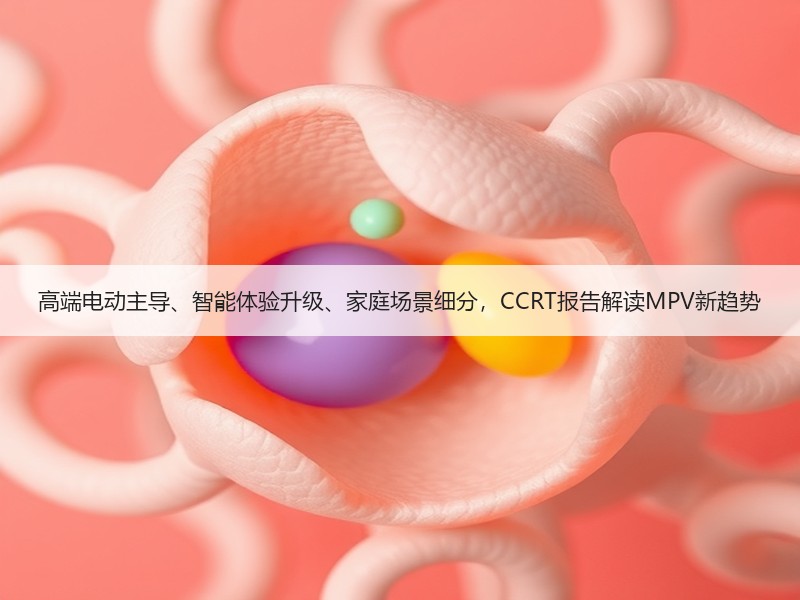 高端电动主导、智能体验升级、家庭场景细分