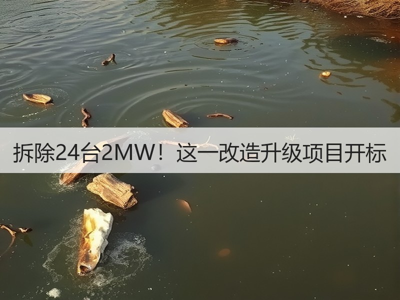 拆除24台2MW！这一改造升级项目开标