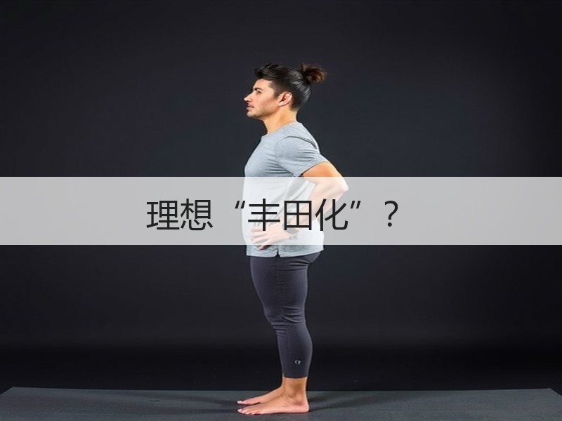 理想“丰田化”？