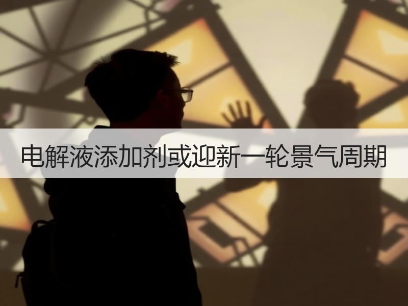 电解液添加剂或迎新一轮景气周期
